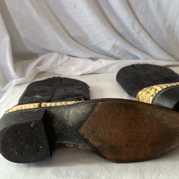 Dan Post    Python Boots - Picture 4 of 10